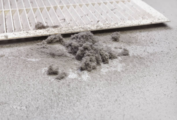 Best Best Air Duct Cleaning Company  in Zeeland, MI