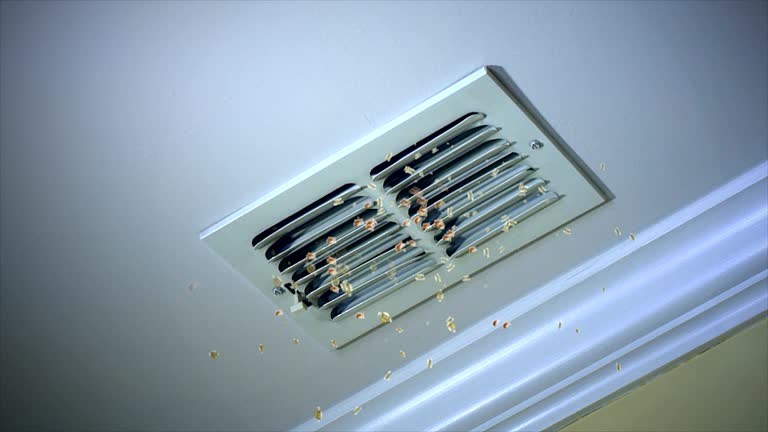 Best Residential Air Duct Cleaning  in Zeeland, MI