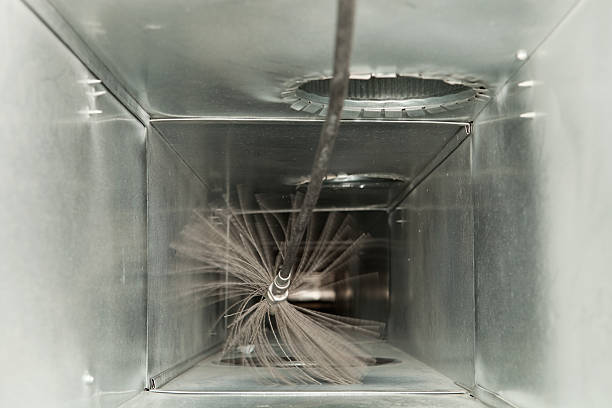 Best Professional Duct Cleaning Services  in Zeeland, MI